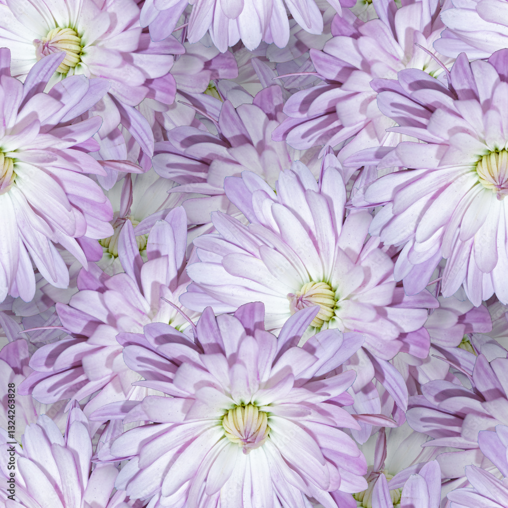 Obraz premium Seamless multi-colored flower pattern with lilac daisies, charming floral design for textiles, copy space
