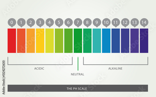Echelle de PH, acide, neutre, basique, 14 niveaux, Illustration Design Vecteur, Multiples Couleurs