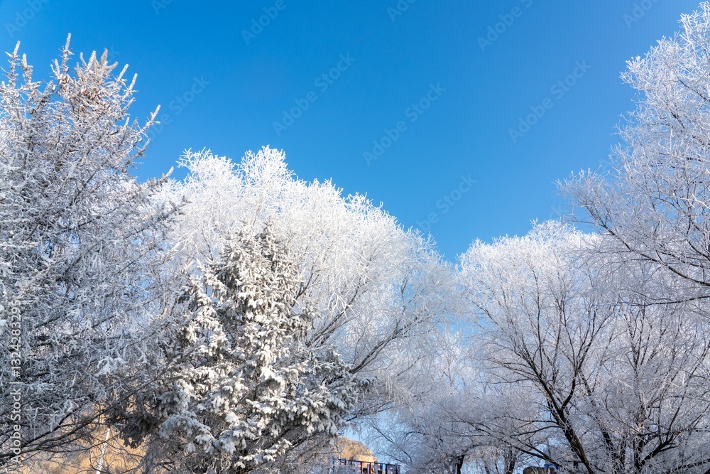 Serene winter landscape of snow-covered trees against a bright blue sky Serene winter landscape of snow-covered trees against a bright blue sky
