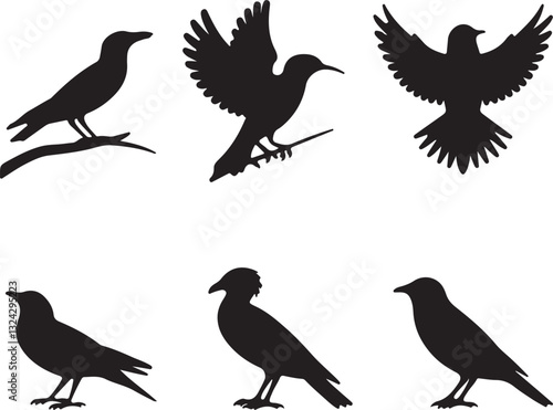 Illustration of six black bird silhouettes in three rows on a light white background. Birds in different postures and styles