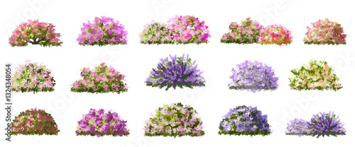 set of flowers, Vector of tree or blooming  side view isolated on white background ,watercolor tree elevation for landscape concept,environment scene,eco design,blossom garden for spring