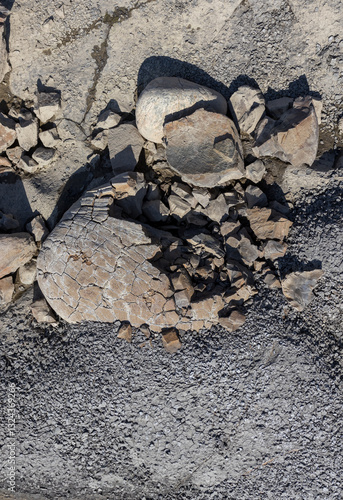A shallow riverbed with an exposed rocky bottom, a small stream and a flow of water, wild in nature