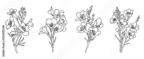Set of freesia flower line art. Floral logo hand drawn sketch. Wild bouquet abstract elegant spring leaves. Black vintage botanical floral branch. Vector illustration in outline style