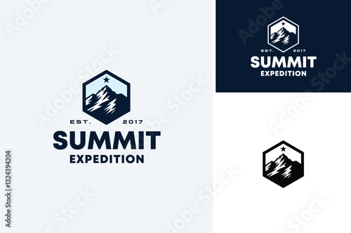 Top Mount Hexagon Badge Emblem with Rocky Ice Snow Peak Summit Mountain Silhouette for Adventure Outdoor Expedition logo design