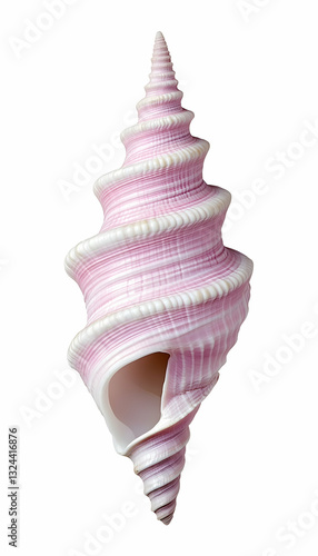 Detailed close-up of a delicate, spiraled, pink seashell