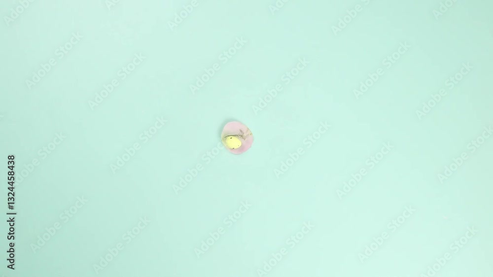 Widescreen Spring Flowers and Easter Eggs Animation Widescreen Spring Flowers and Easter Eggs Animation