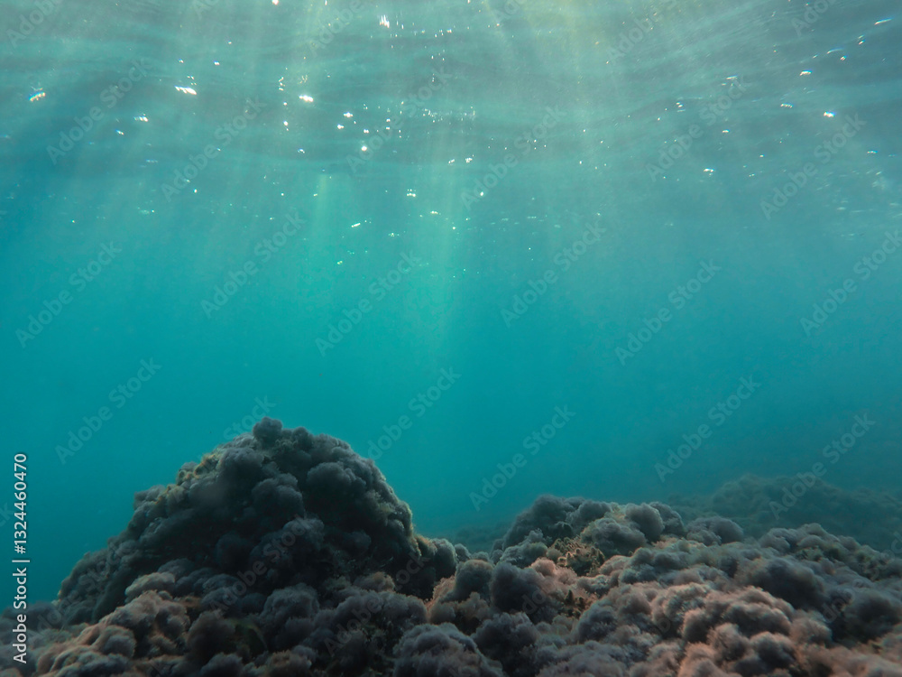 Fototapeta premium ray, underwater, light, sunlight, sea, blue water, ocean, sun, surface, background, sun light, deep, under, rays, bright, mediterranean sea, marine, ripple, abstract nature, aqua, wave, clear, aquatic