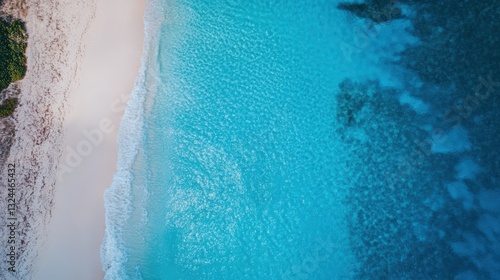 Coastal Paradise: A breathtaking aerial perspective reveals the meeting of a pristine beach, turquoise waters, and hints of vibrant coral reefs, epitomizing a tropical coastal paradise.