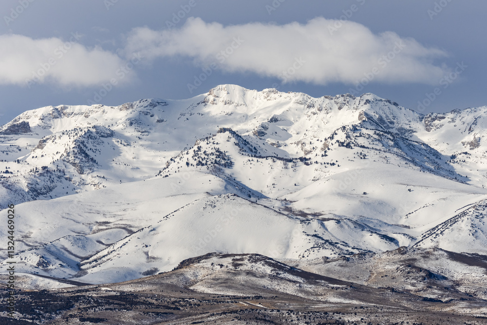 Fototapeta premium Ruby Mountains Elko County Nevada