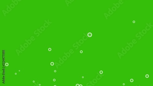 bubble animation Abstract white bubble background. Distribution of bubbles moving from bottom to top. Cosmetic Essence, green screen