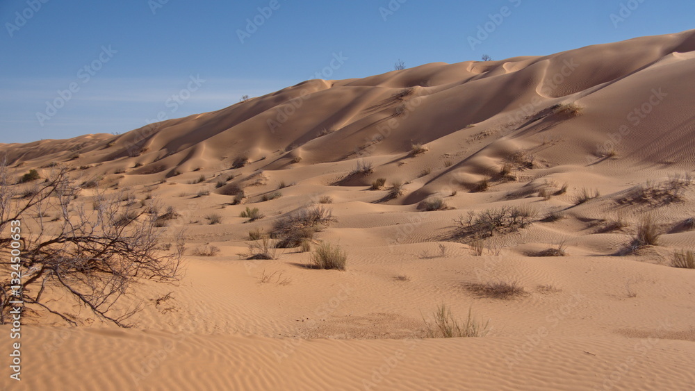 Tall sand dunes around a valley in the Sahara Desert, outside of Douz, Tunisia Tall sand dunes around a valley in the Sahara Desert, outside of Douz, Tunisia