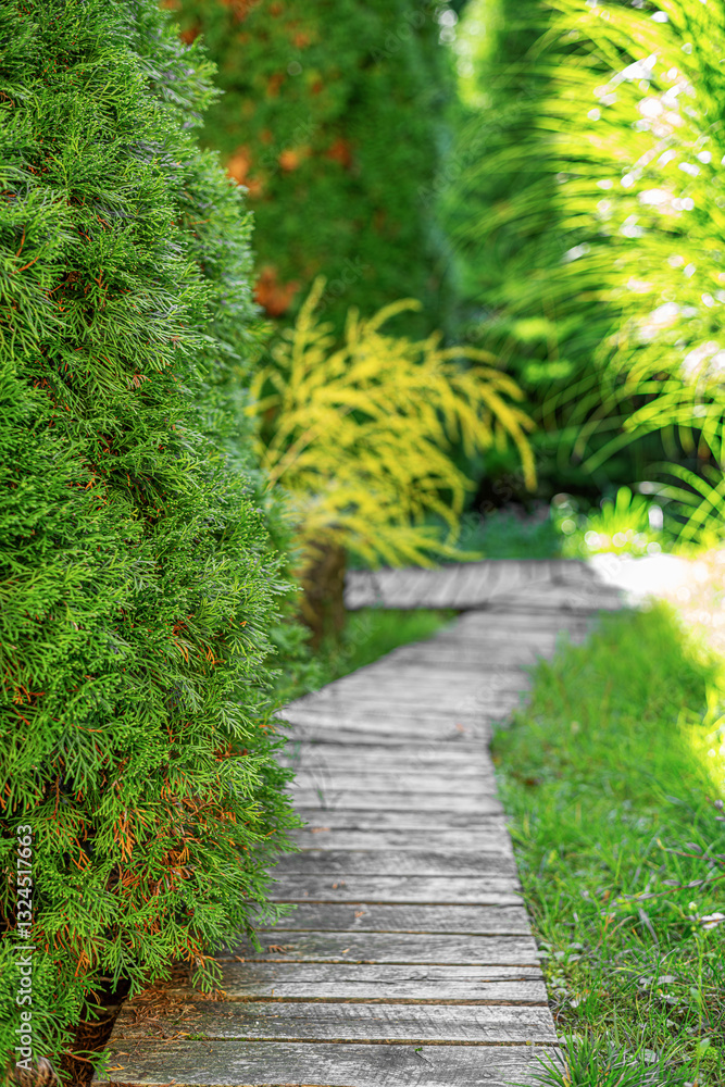 A peaceful wooden garden path winds through lush greenery, creating a serene and inviting atmosphere.