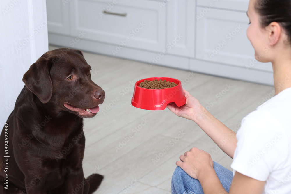 Φωτογραφία Woman giving feeding bowl with dry pet food to her dog indoors, closeup