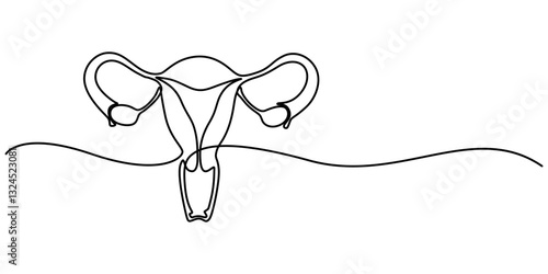 continuous line art drawing of female reproductive uterus, Human reproductive system one line continuous drawing, Vector minimalist linear illustration, Isolated flat illustration hand draw contour on
