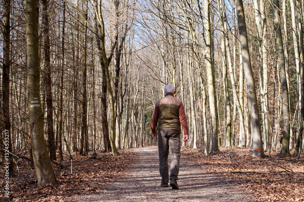Fototapeta premium An elderly hiker walks alone through a sunlit forest on a crisp March morning. The trees are still bare, embracing the quiet. Fresh air, golden light, and solitude guide his path through nature.