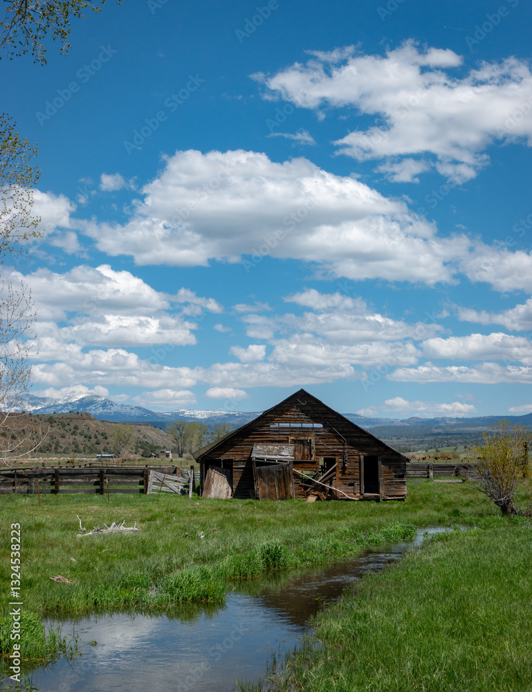 Decrepit wooden barn on a river in rural California with green grass and puffy white clouds