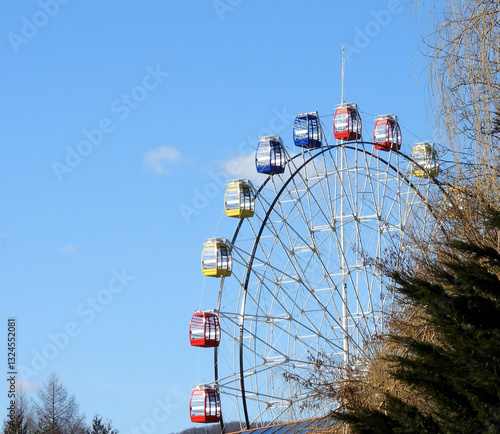 Ferries wheel in the park with red, yellow, blue cabins