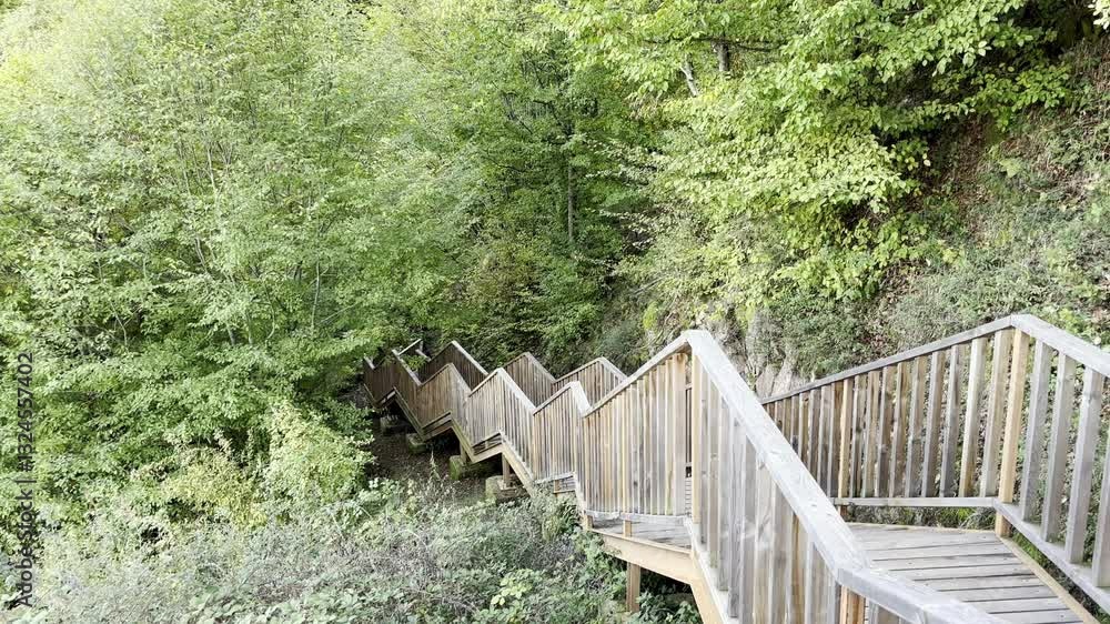A beautiful wooden staircase leading through a verdant forest, surrounded by thick trees and serene nature, offering tranquility and a perfect escape into the wilderness A beautiful wooden staircase leading through a verdant forest, surrounded by thick trees and serene nature, offering tranquility and a perfect escape into the wilderness