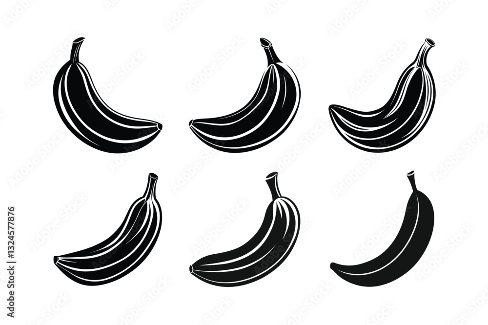 Banana – Musa spp. fruits vector illustration Banana – Musa spp. fruits vector illustration