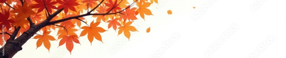 Tree branches with leaves against a white background, autumn, tree leaves, summer Tree branches with leaves against a white background, autumn, tree leaves, summer