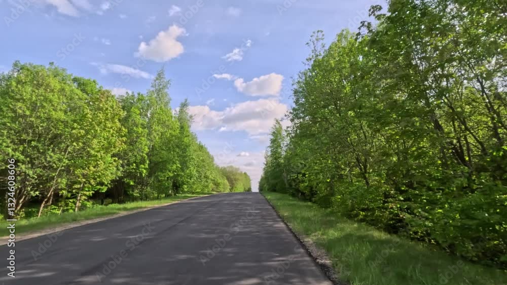 Beautiful landscape, road markings, roadsides and road lines.