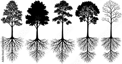 Set of contours deciduous trees with root systems. Vector illustration
