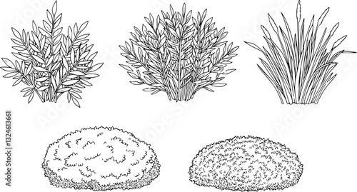 Set of bush and bare bush, decorative garden plants, contour. Vector illustration
