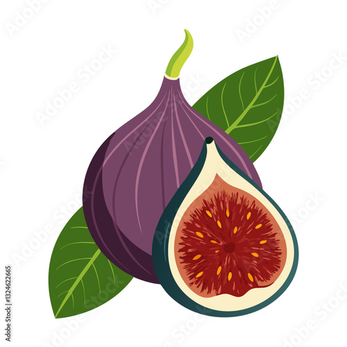 fresh figs isolated on white background