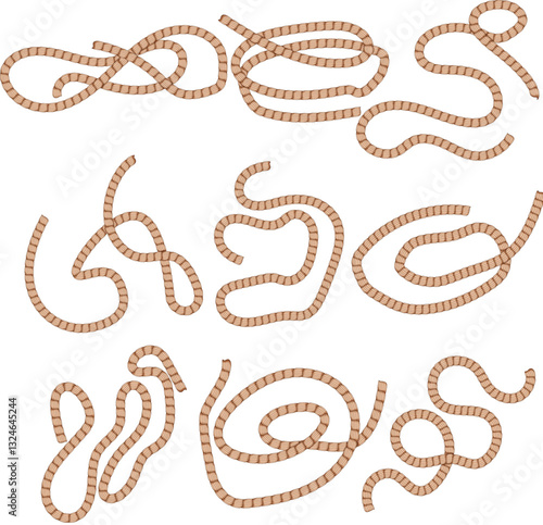 rope set cartoon vector illustration