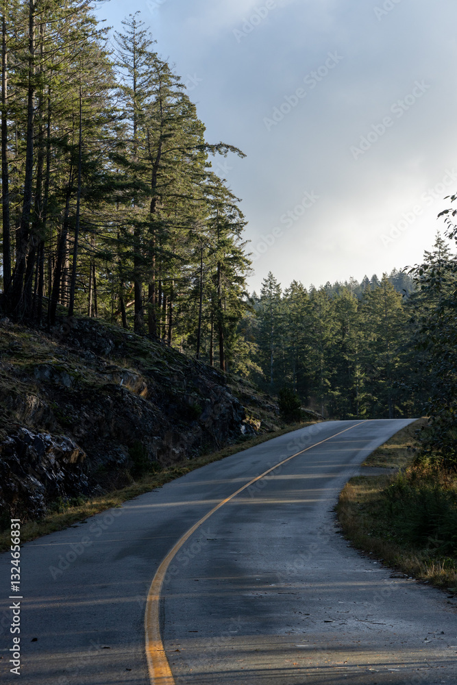 Obraz premium Highway surrounded by forest with cloudy sky in Bowen Island, British Columba, Canada