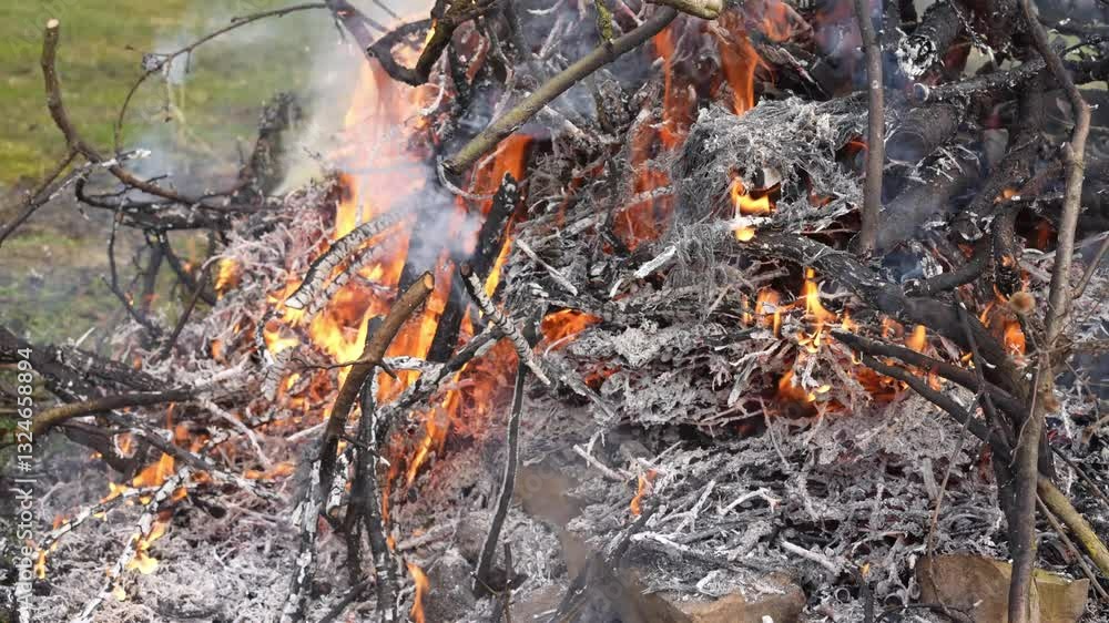 Burning of organic waste from spring garden cleaning in the garden, a burning bonfire at close range, the bonfire will burn cut bush branches and old tree leaves Burning of organic waste from spring garden cleaning in the garden, a burning bonfire at close range, the bonfire will burn cut bush branches and old tree leaves