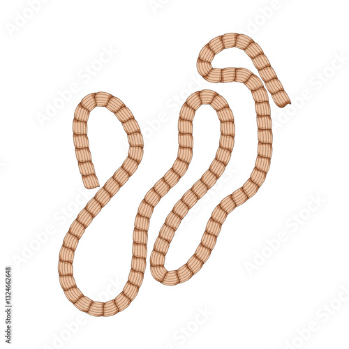 lanyard rope cartoon vector illustration