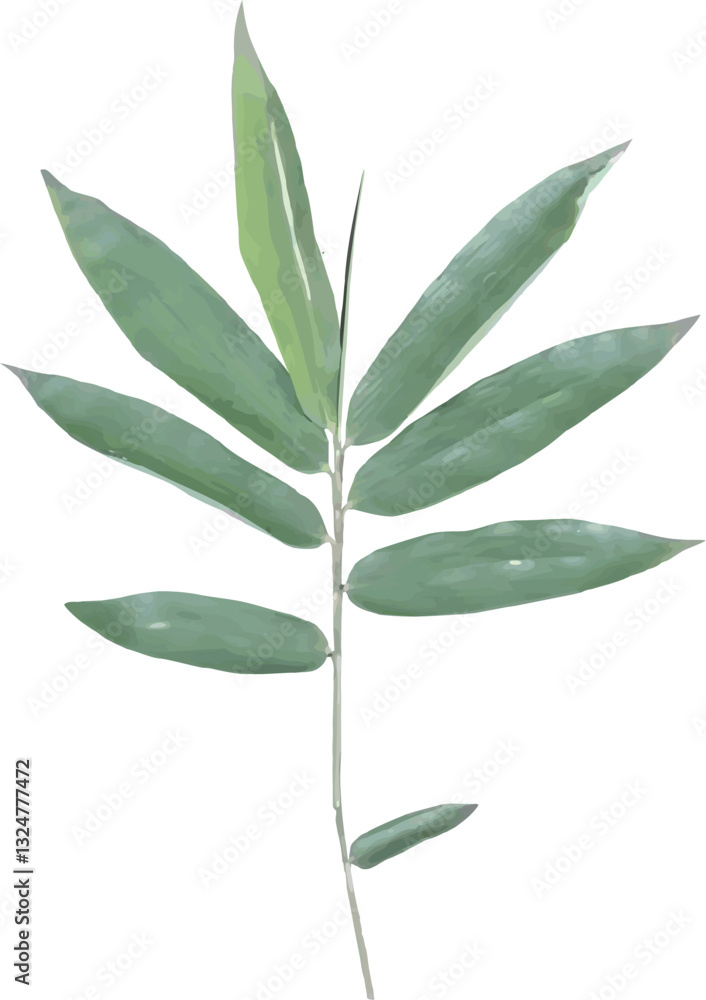 Fototapeta premium vector image of a sprig of green bamboo leaves isolated on white
