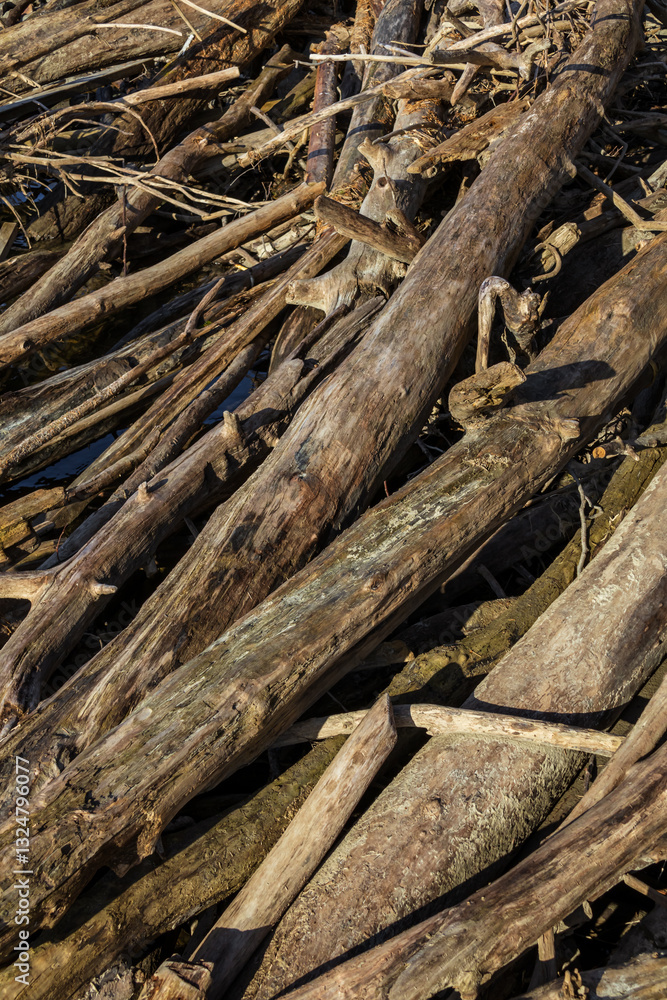 River-washed logs with rich textures and natural patterns, showcasing weathered wood and organic shapes, ideal for background and texture photography River-washed logs with rich textures and natural patterns, showcasing weathered wood and organic shapes, ideal for background and texture photography