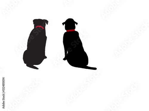 Two black dogs with red collars