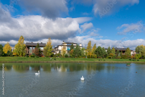 Surrounded by trees, the houses of an elite village on the shore of a pond with swans. .A delightful country landscape on a sunny autumn day. photo