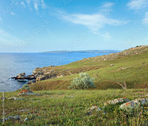 Obraz na płótnie earth road on prairies near summer sea coast w salonie