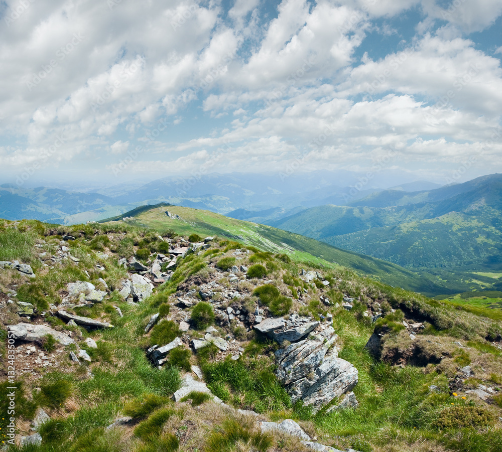 Large stones on summer mountainside (Ukraine, Carpathian Mountains).