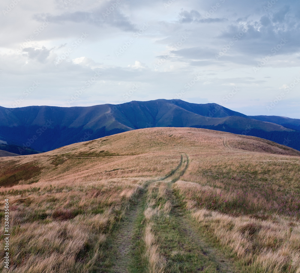 summer cloudy mountain landscape with country road (Ukraine, Carpathian Mountains)