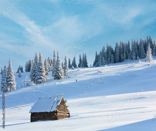 Obraz na płótnie winter calm mountain landscape with shed (Kukol Mount, Carpathian Mountains, Ukraine) w salonie