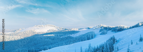 Obraz na płótnie Morning winter calm mountain panorama with sheds group on slope (Carpathian Mountains, Ukraine). w salonie