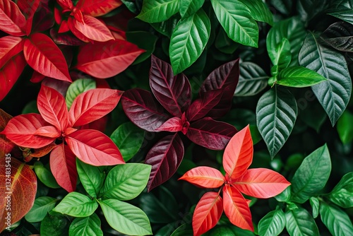 Vibrant foliage display of various leaf colors and shapes