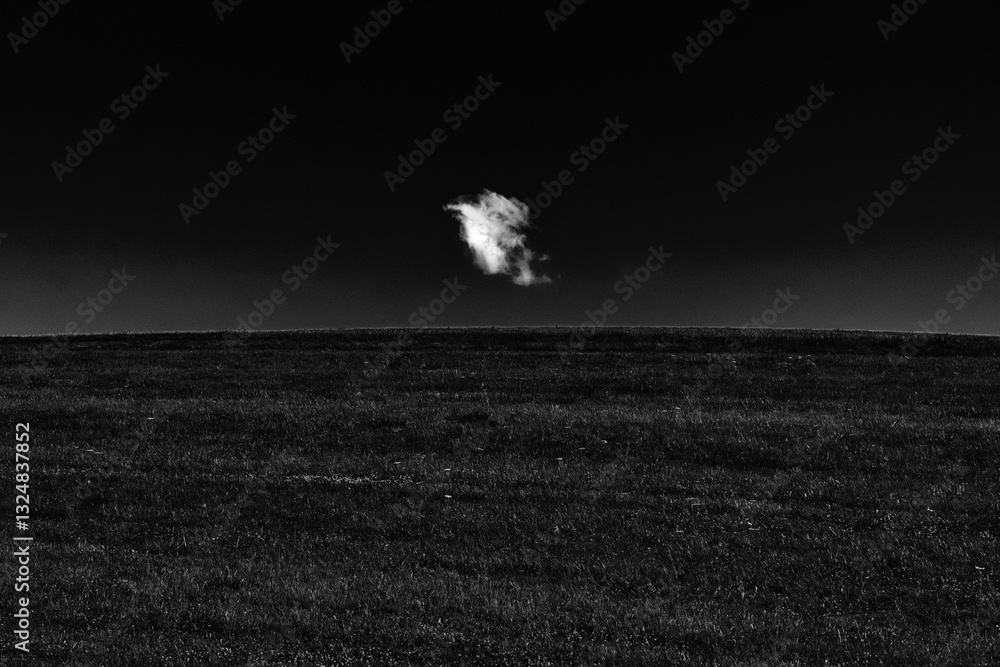 One white cloud on horizon over green grass in field