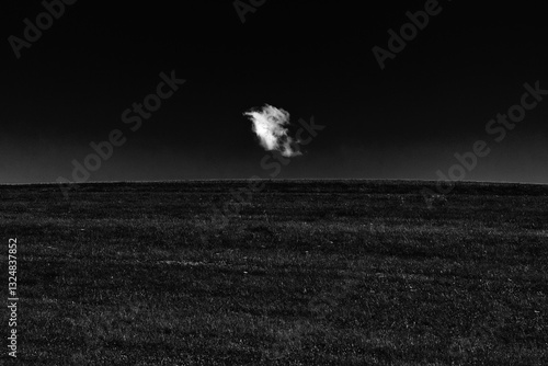 Obraz na płótnie One white cloud on horizon over green grass in field w salonie