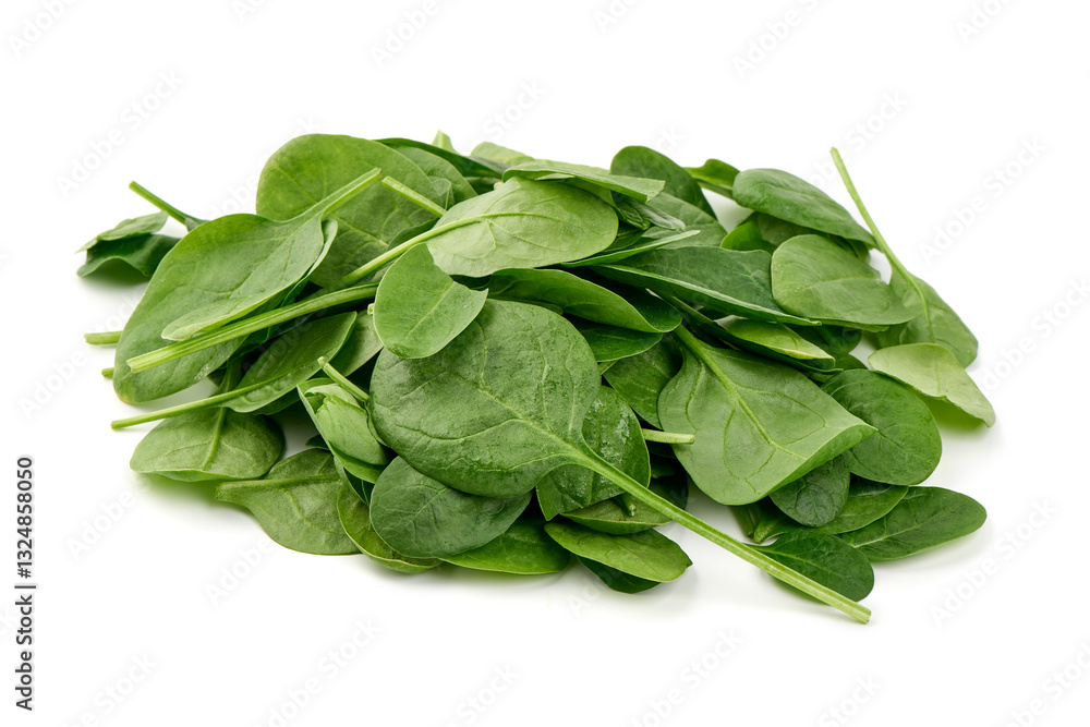 Fresh Spinach Leaves, Isolated on White Background. Fresh Spinach Leaves, Isolated on White Background.