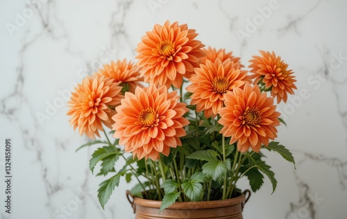 Orange Dahlia Flowers in Pot Against Marble Background for Floral Design