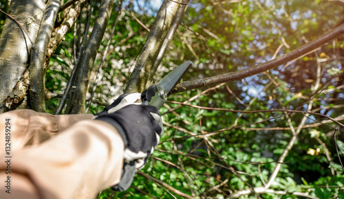 Two hands wearing work gloves and using hand saw to cut through tree branch in sunlit garden.