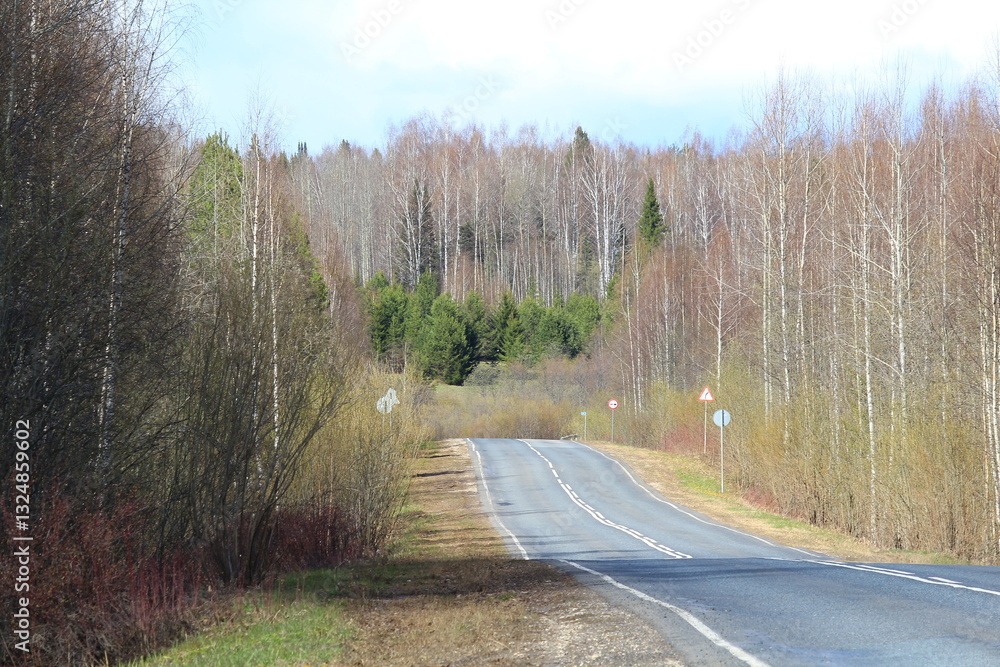 Fototapeta premium road in the forest on a sunny May day