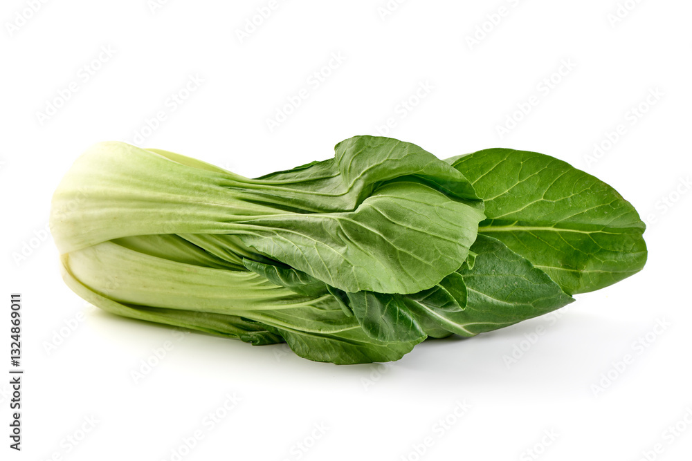 Fresh Pak Choi, Isolated on White Background. Fresh Pak Choi, Isolated on White Background.