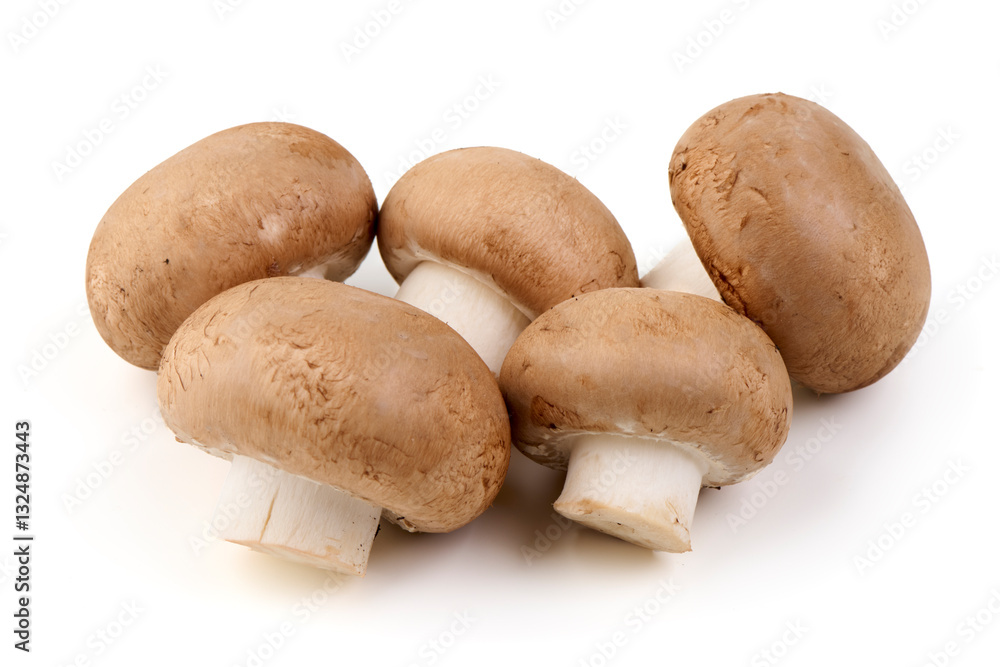 Fototapeta premium Fresh Brown Mushrooms, Isolated on White Background.